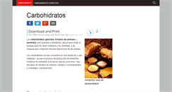 Desktop Screenshot of carbohidratos.org
